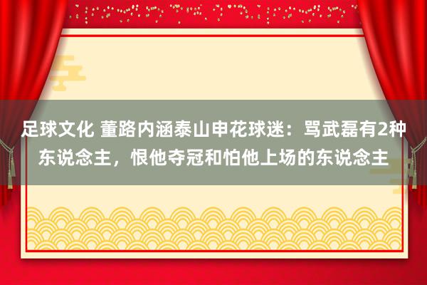 足球文化 董路内涵泰山申花球迷：骂武磊有2种东说念主，恨他夺冠和怕他上场的东说念主