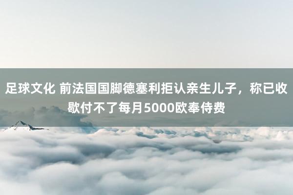 足球文化 前法国国脚德塞利拒认亲生儿子，称已收歇付不了每月5000欧奉侍费