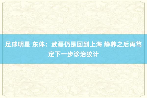 足球明星 东体：武磊仍是回到上海 静养之后再笃定下一步诊治狡计