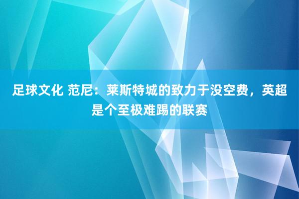 足球文化 范尼：莱斯特城的致力于没空费，英超是个至极难踢的联赛