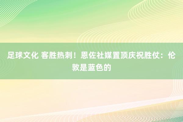 足球文化 客胜热刺！恩佐社媒置顶庆祝胜仗：伦敦是蓝色的